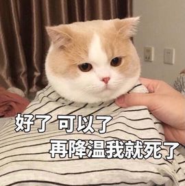 肥肥小豆芽😈退了主播照片