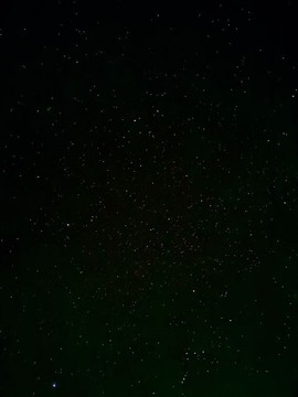 ღ瑋玮主播照片