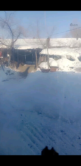 下雪的小院