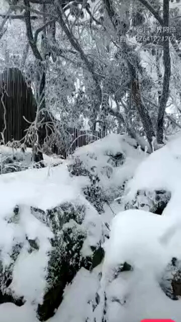 湖南张家界下雪了