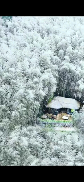 冬至韩雪飘飘欲仙游