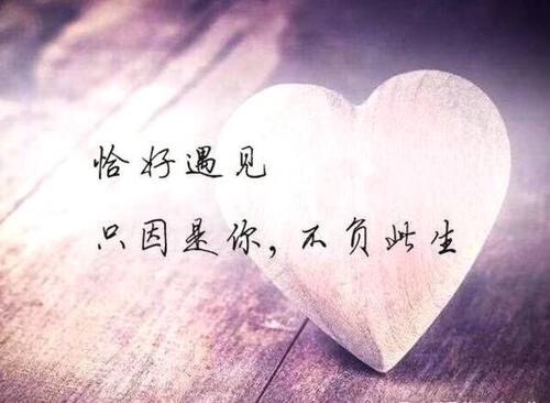 ??珊珊??的主播照片