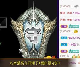 喵崽小花猫主播照片