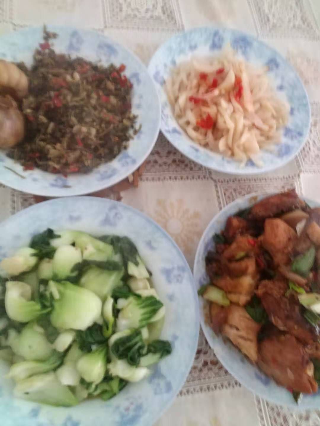 🌹蝴蝶飞舞🌹🌿的主播照片