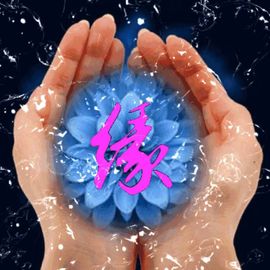 带着回忆流浪，，主播照片