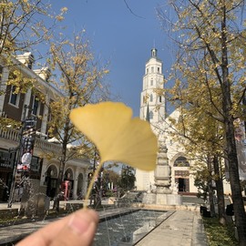 参会人数主播照片