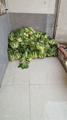 婷妹外卖小姐姐主播照片