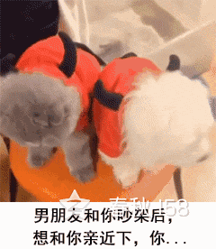 დ释怀დ主播照片