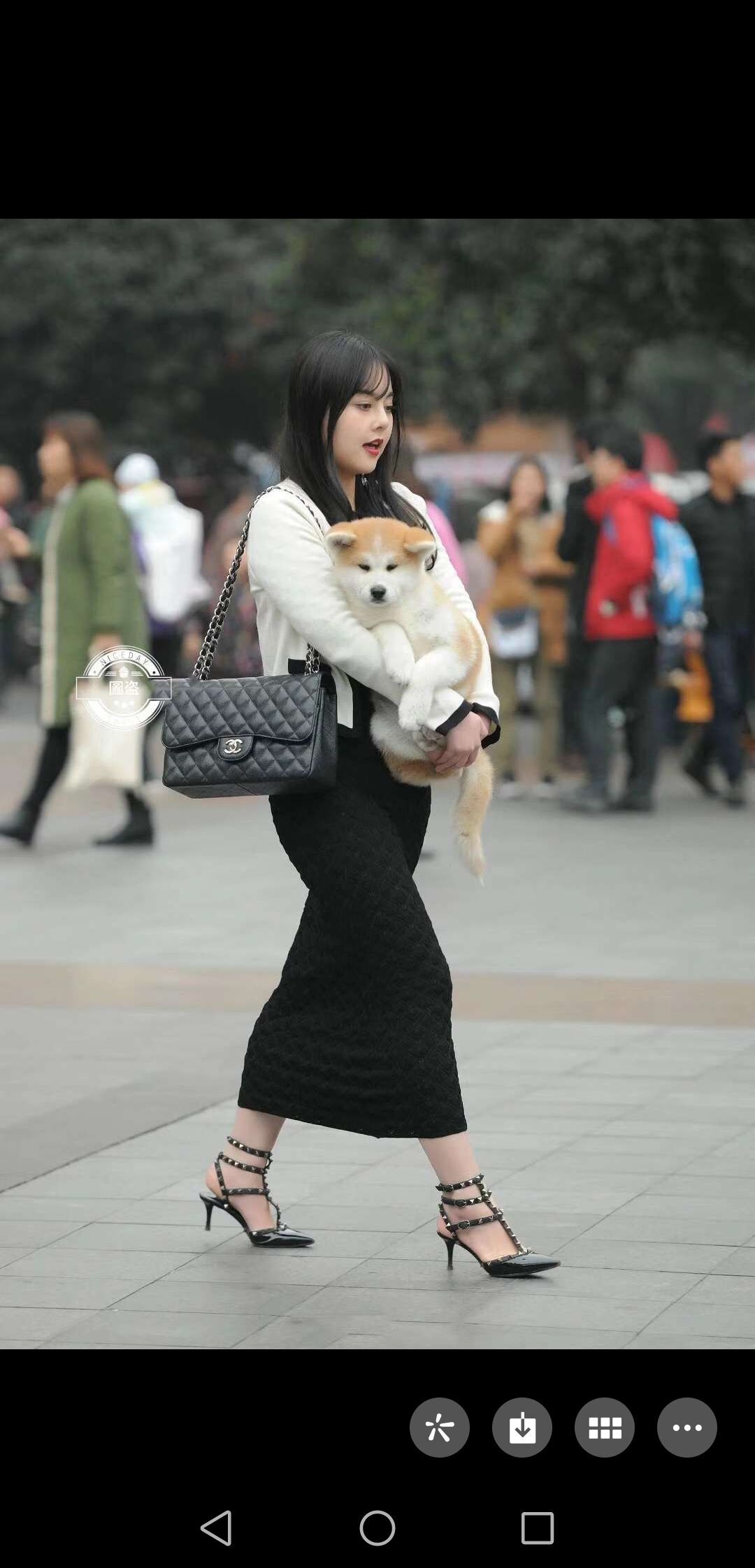 ：鬼公子---的主播照片