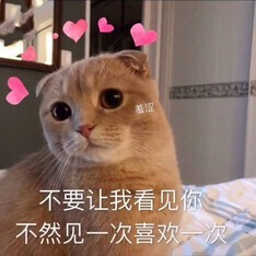你ღ果然ღ是老板主播照片