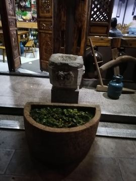 柔月娇花主播照片