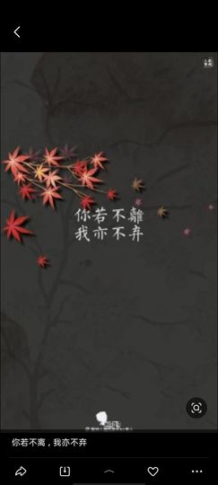 ╰╮玲珑╭╯主播照片