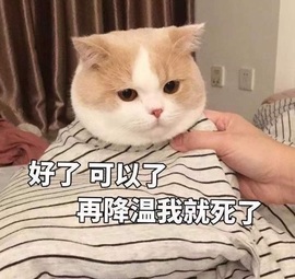 肥肥小豆芽😈退了主播照片