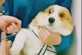 雯雯退主播照片