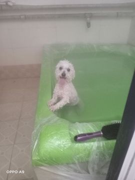 婷妹外卖小姐姐主播照片