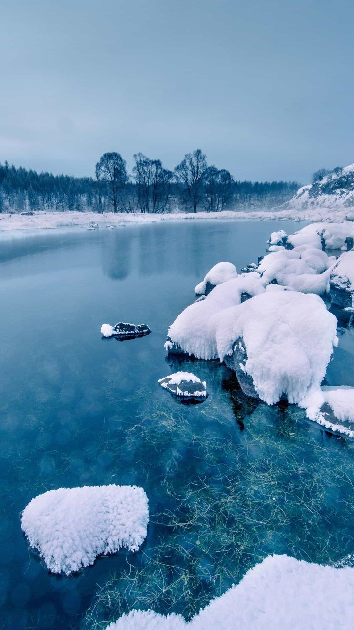 不协调的雪的主播照片