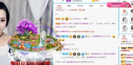 茶茶腰疼休息一晚的图片