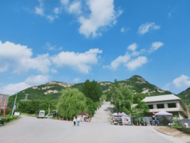ღ瑋玮主播照片