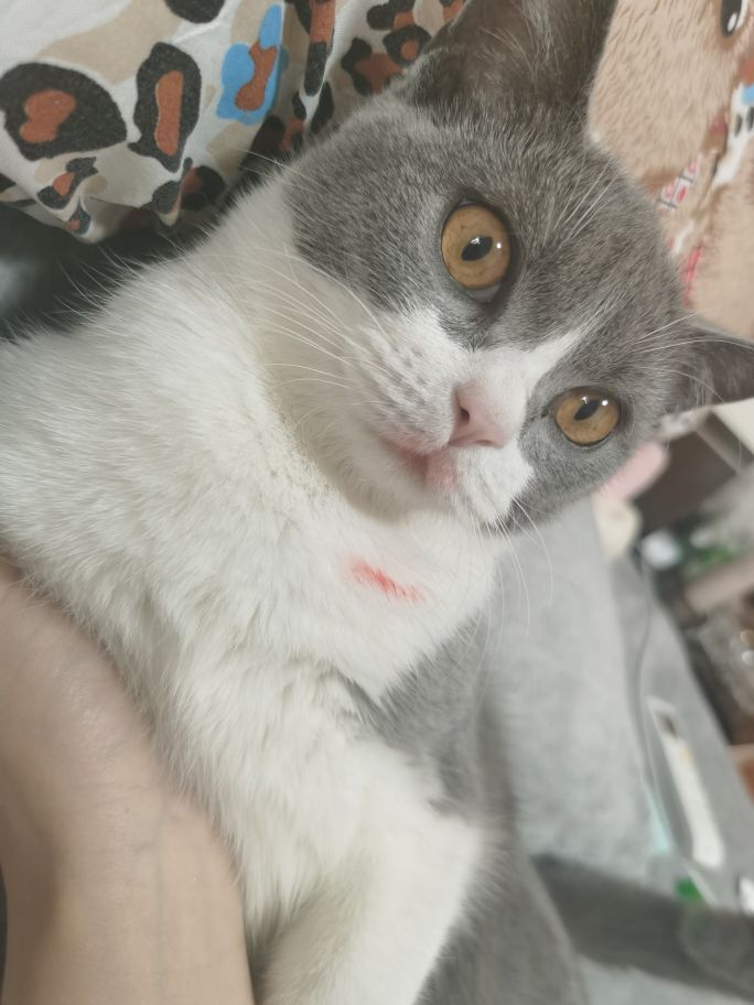 曈妹儿💜51818的图片