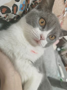 曈妹儿💜51818主播照片