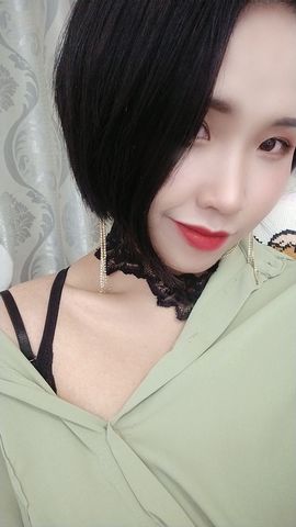 茶茶腰疼休息一晚的图片