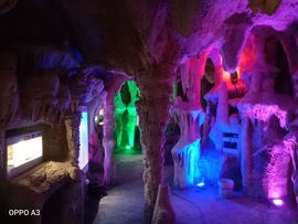 爱在晚秋🐲（关关）的图片