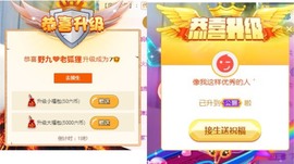 野九💛大懒猫主播照片
