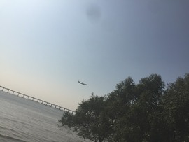 嗷呜つ小人物主播照片