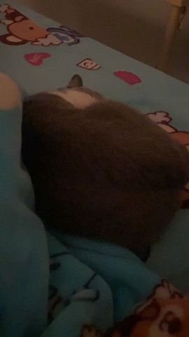 动感光波diudiu主播照片
