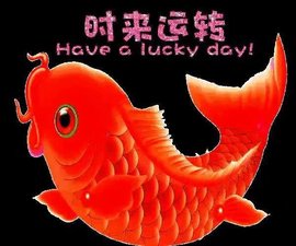 დ释怀დ主播照片