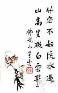 დ释怀დ主播照片