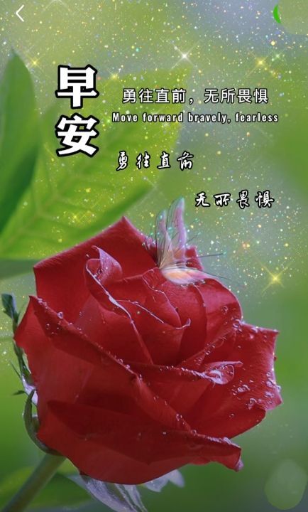 酒夢(mèng)8888的主播照片