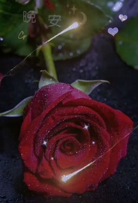 ღ᭄ꦿ再不疯狂就老啦主播照片