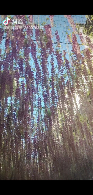 有阳光的地方，就有温