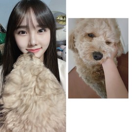 8秒贺美梦哥神王゜♡的图片