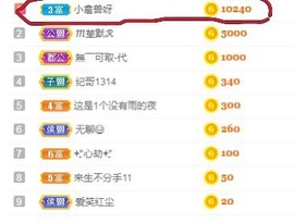 D.小狐狸主播照片