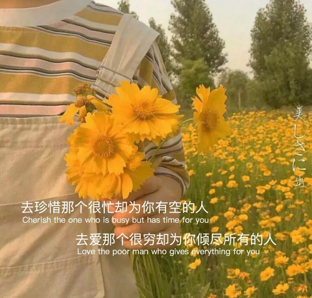 依芝の求心软的神！的图片