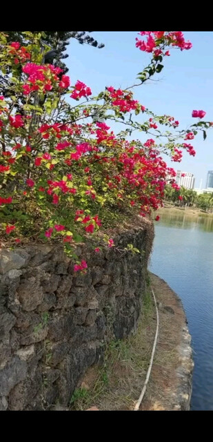 海甸河