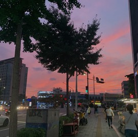 小雅代理ღ好运来主播照片