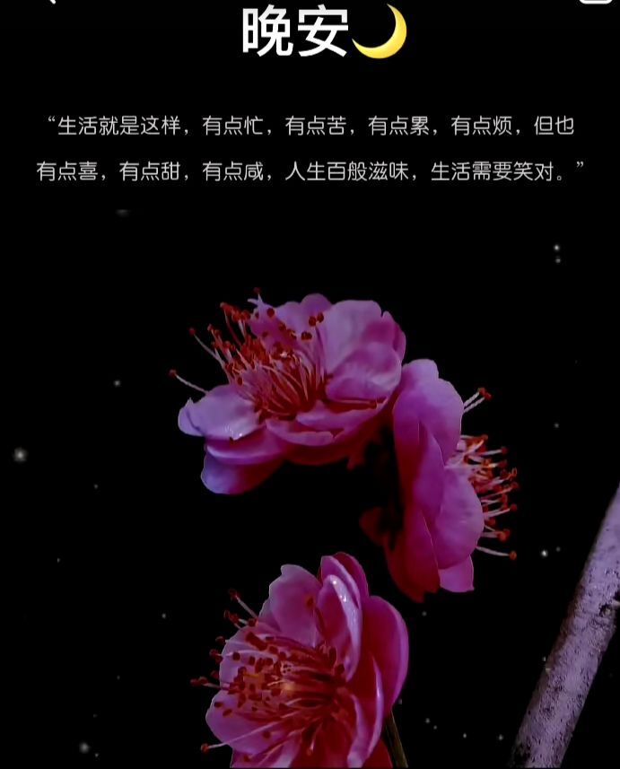 余生多指教666的主播照片