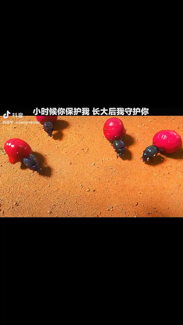上集