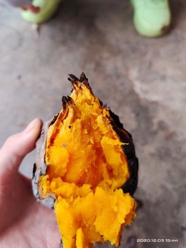 凑美没人爱主播照片