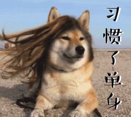 👑䒕暖宝好运旺旺旺主播照片