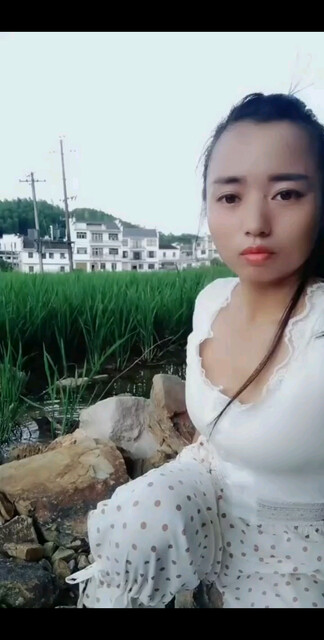 看了视频才知道鸭子知