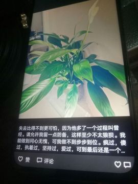 天🐳涯主播照片