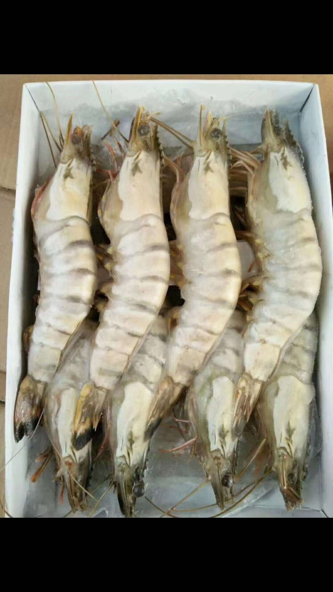 这是一个地方的主播照片