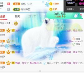 新人魅月主播照片
