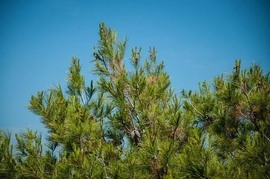 江湖再见，退主播照片