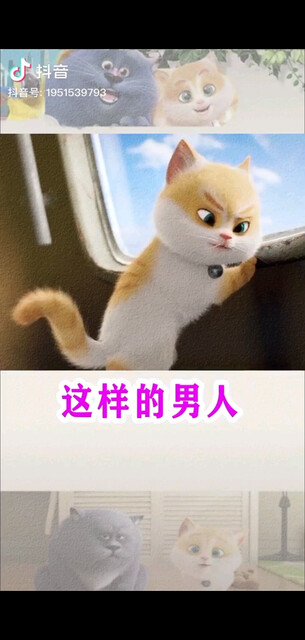 哈哈，有没没毛病的男
