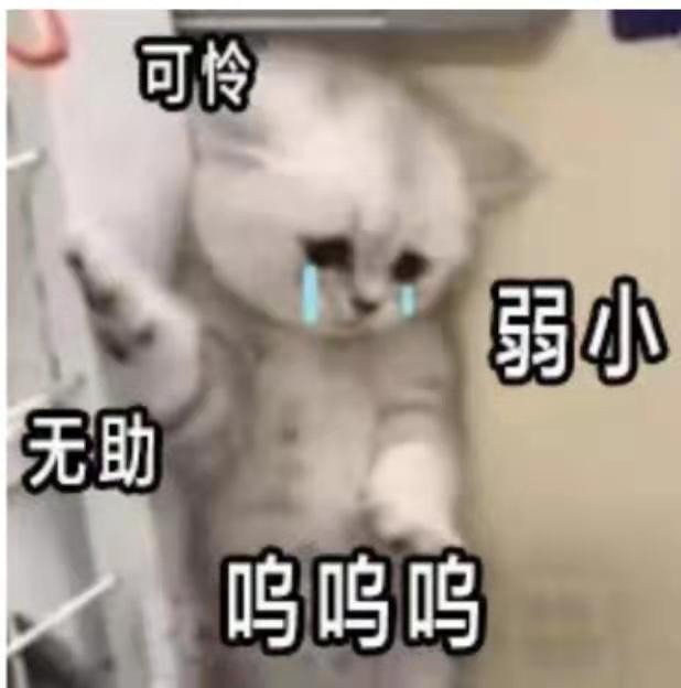 苏苏，越来越好的图片